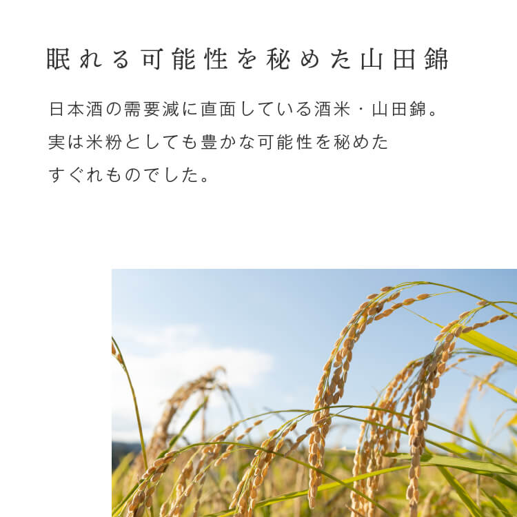 【定期商品】田田田堂　有機米粉「山田錦」（大容量/1kg）