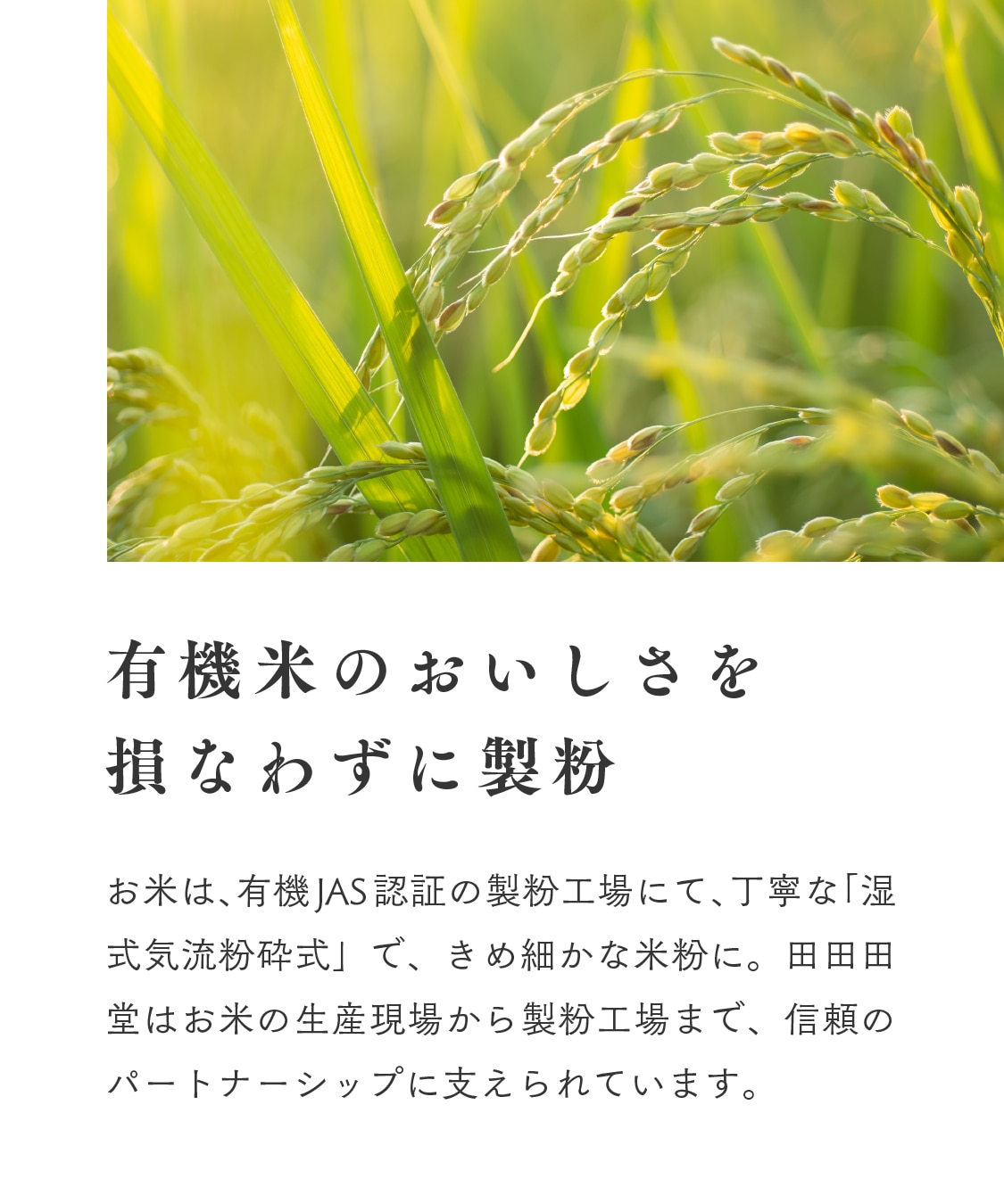 【定期商品】田田田堂　有機米粉「山田錦」（大容量/1kg）