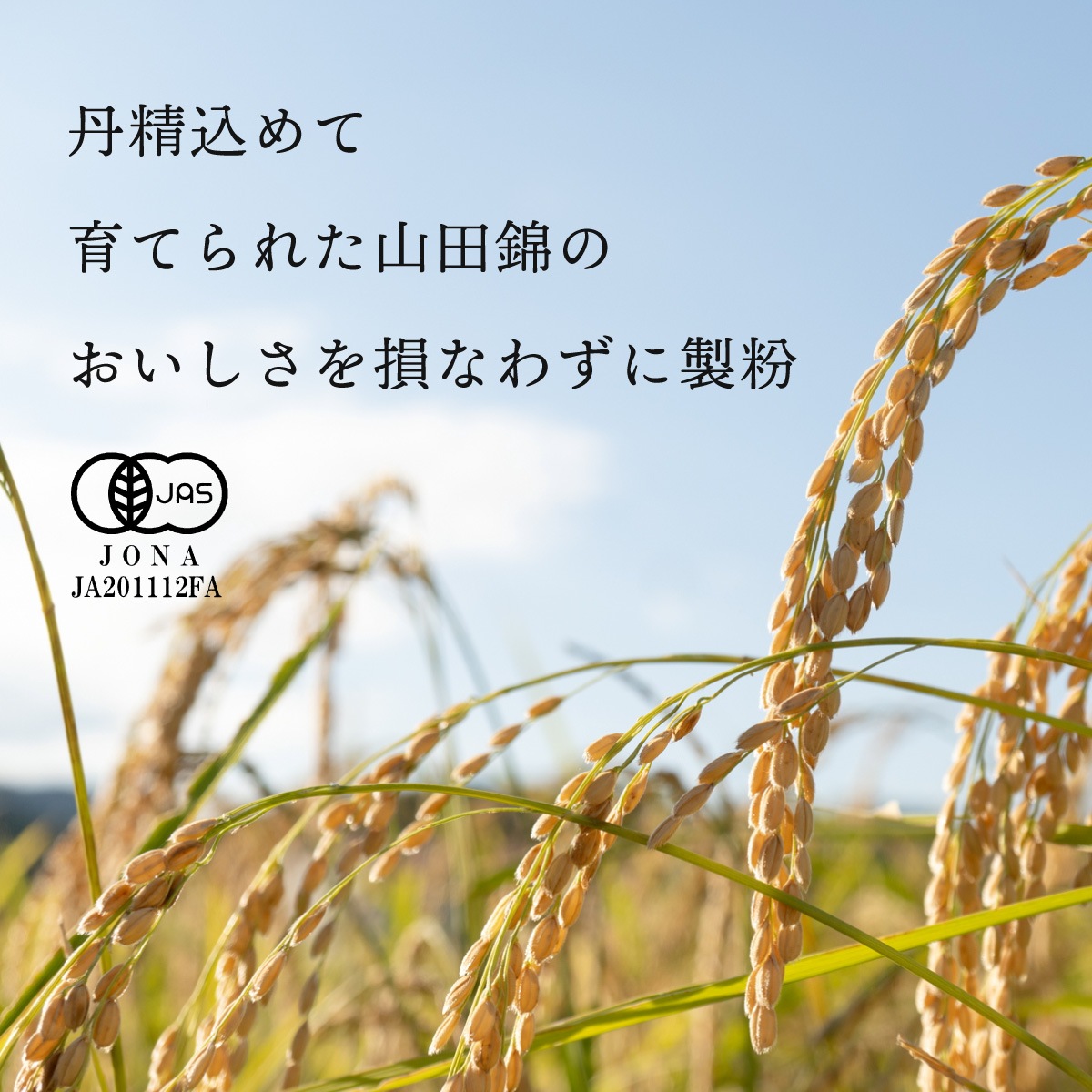 【定期商品】田田田堂　有機米粉「山田錦」（大容量/1kg）