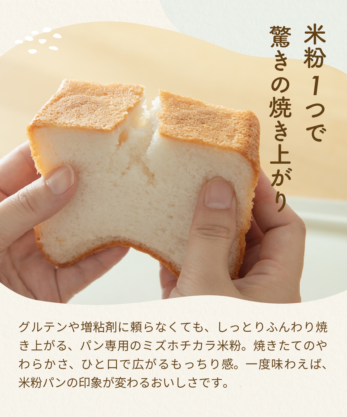 【定期商品】田田田堂　有機米粉「ミズホチカラ」（大容量/1kg）