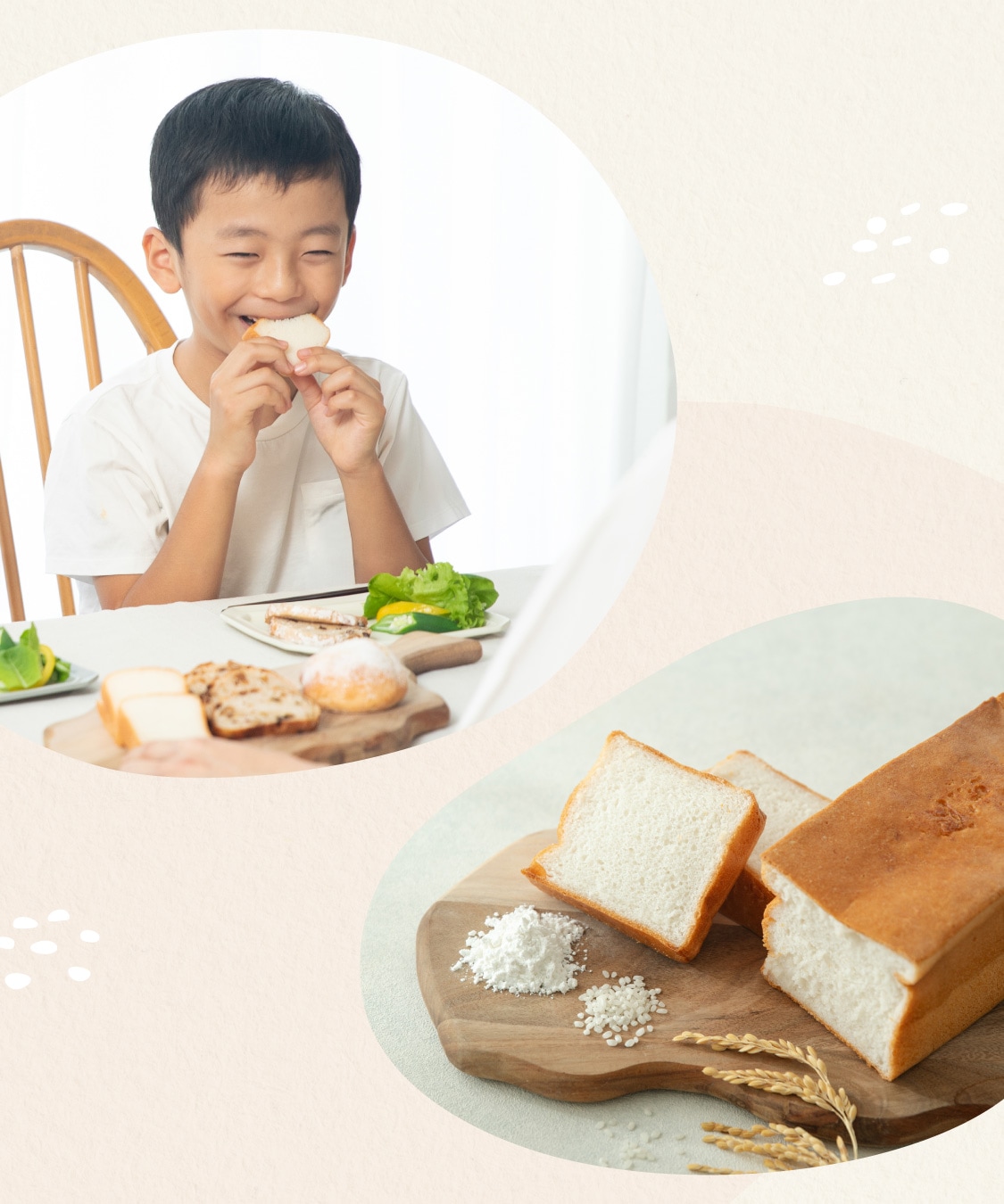 【定期商品】田田田堂　有機米粉「ミズホチカラ」（大容量/1kg）