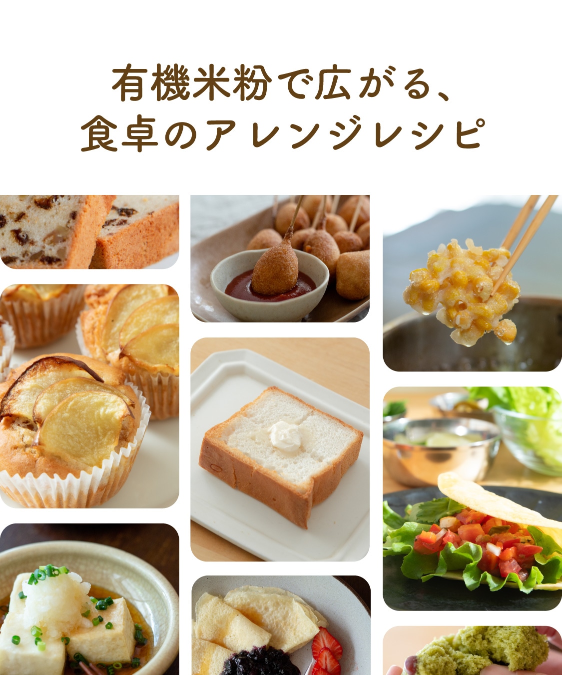 【定期商品】田田田堂　有機米粉「ミズホチカラ」（大容量/1kg）