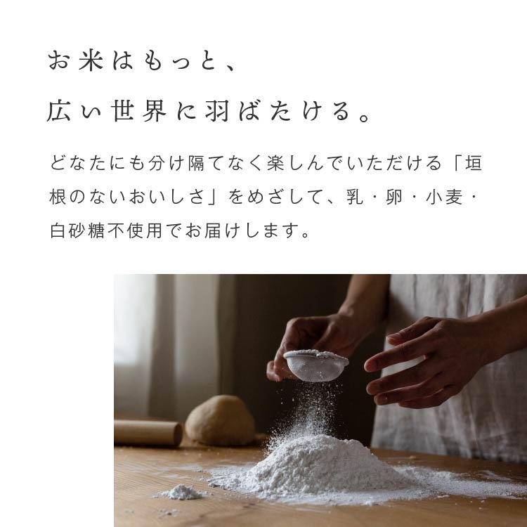 【定期商品】田田田堂　有機米粉「ミズホチカラ」（大容量/20kg）
