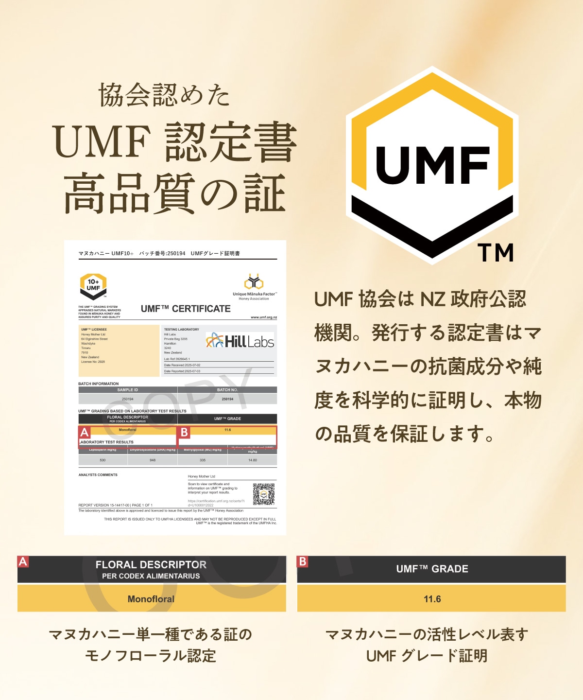 マヌカハニー UMF10+（250g MGO 261+） 【初回限定お試し価格 ＆ 送料無料】｜はちみつ；