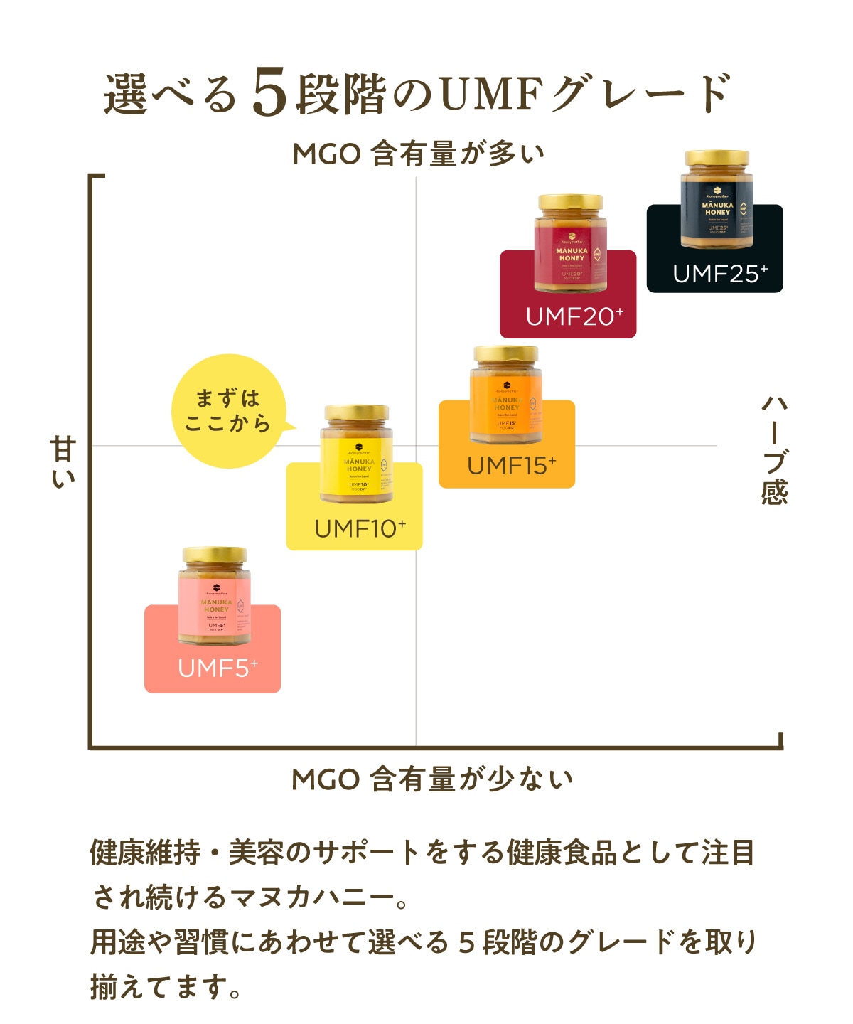 マヌカハニー UMF10+（250g MGO 261+） 【初回限定お試し価格 ＆ 送料