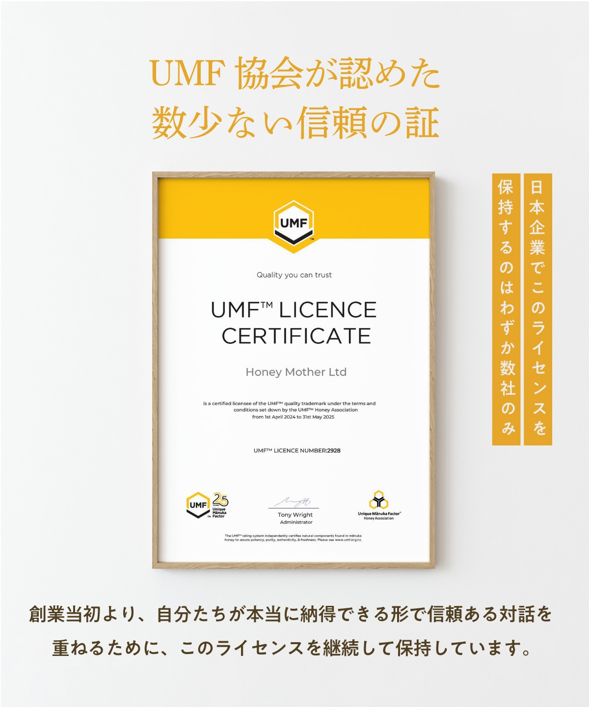 マヌカハニー UMF10+（250g MGO 261+） 【初回限定お試し価格 ＆ 送料無料】｜はちみつ；