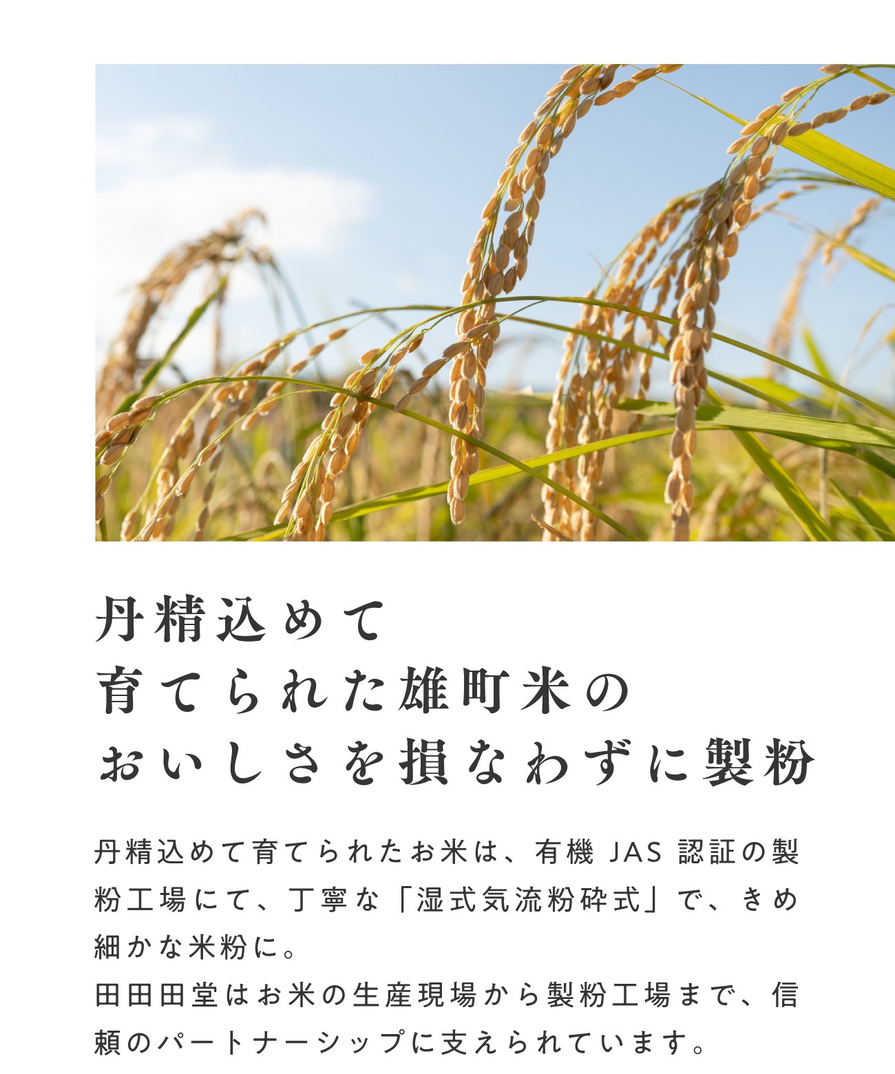 【定期商品】田田田堂　有機米粉「雄町米」（大容量/20kg）