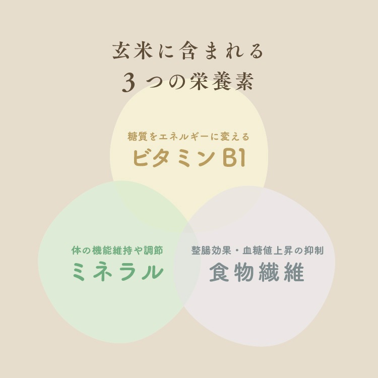 【定期商品】有機山田錦の「生米パン」（15cm/200g）［グルテンフリー ＆ プラントベース］