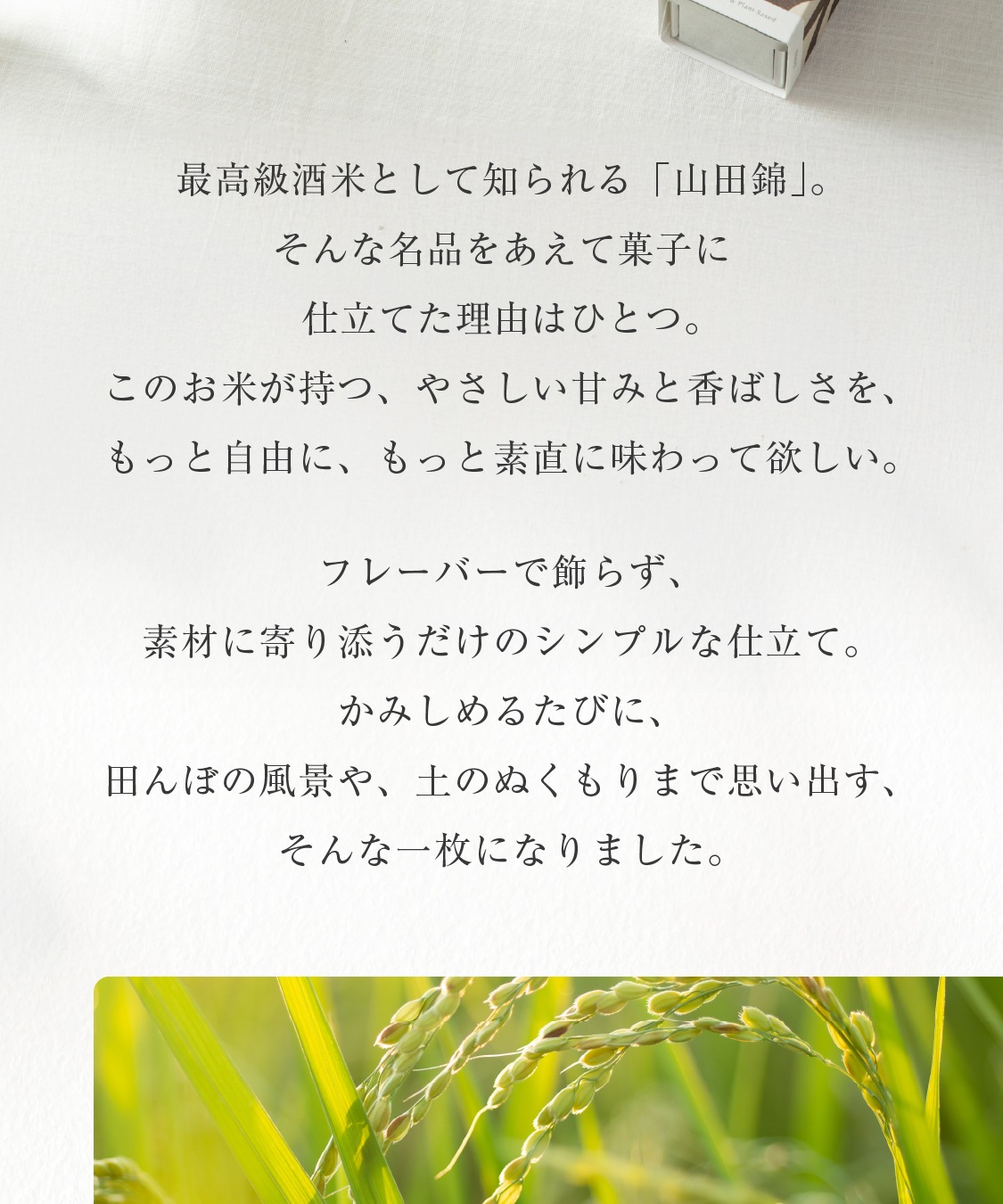 山田錦 ガレット缶（白米・玄米／各12枚入り）［グルテンフリー ＆ プラントベース］　山田錦セレクト
