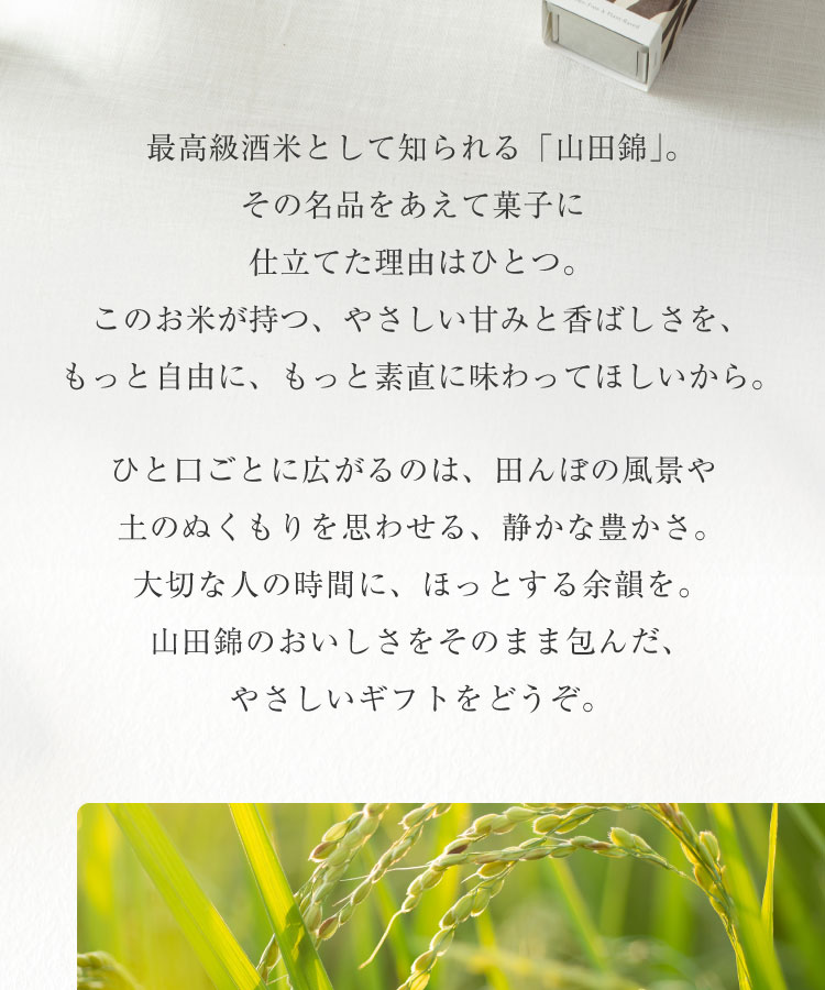 山田錦 ギフト　みのり「白米・玄米」（24個入）［グルテンフリー ＆ プラントベース］山田錦セレクト