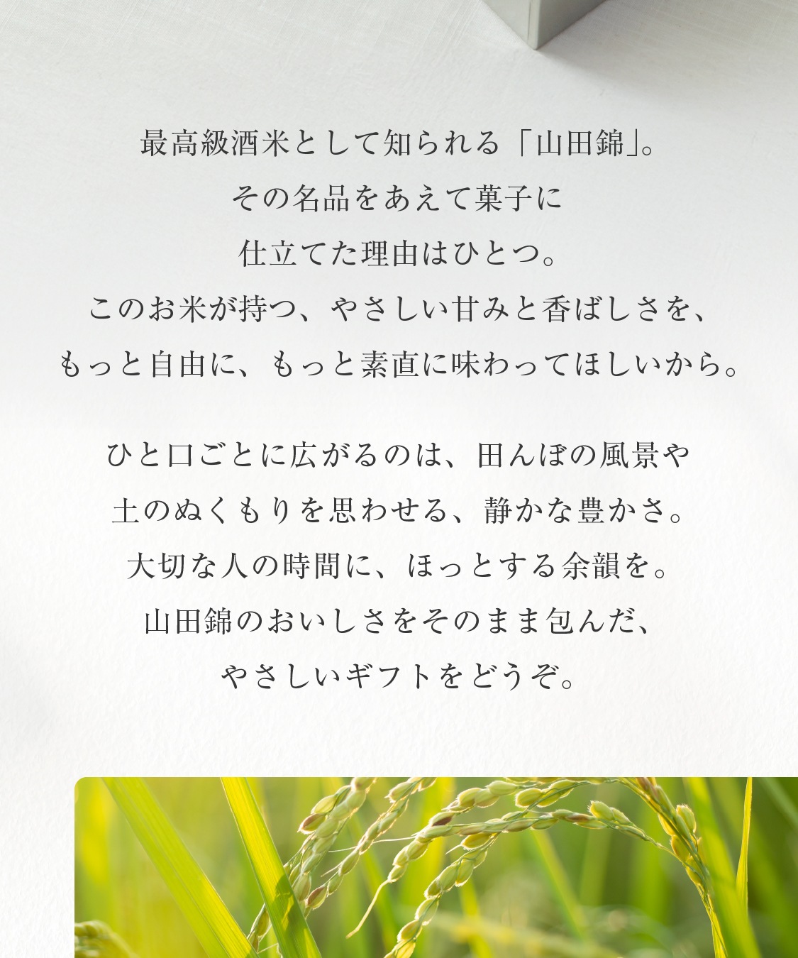 山田錦 ギフト むすび「白米・玄米」（48個入）［グルテンフリー ＆ プラントベース］山田錦セレクト