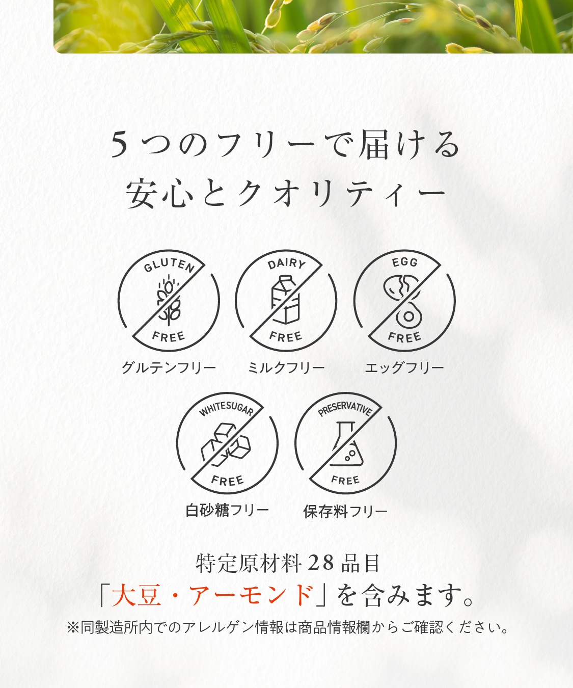 山田錦 ギフト むすび「白米・玄米」（48個入）［グルテンフリー ＆ プラントベース］山田錦セレクト