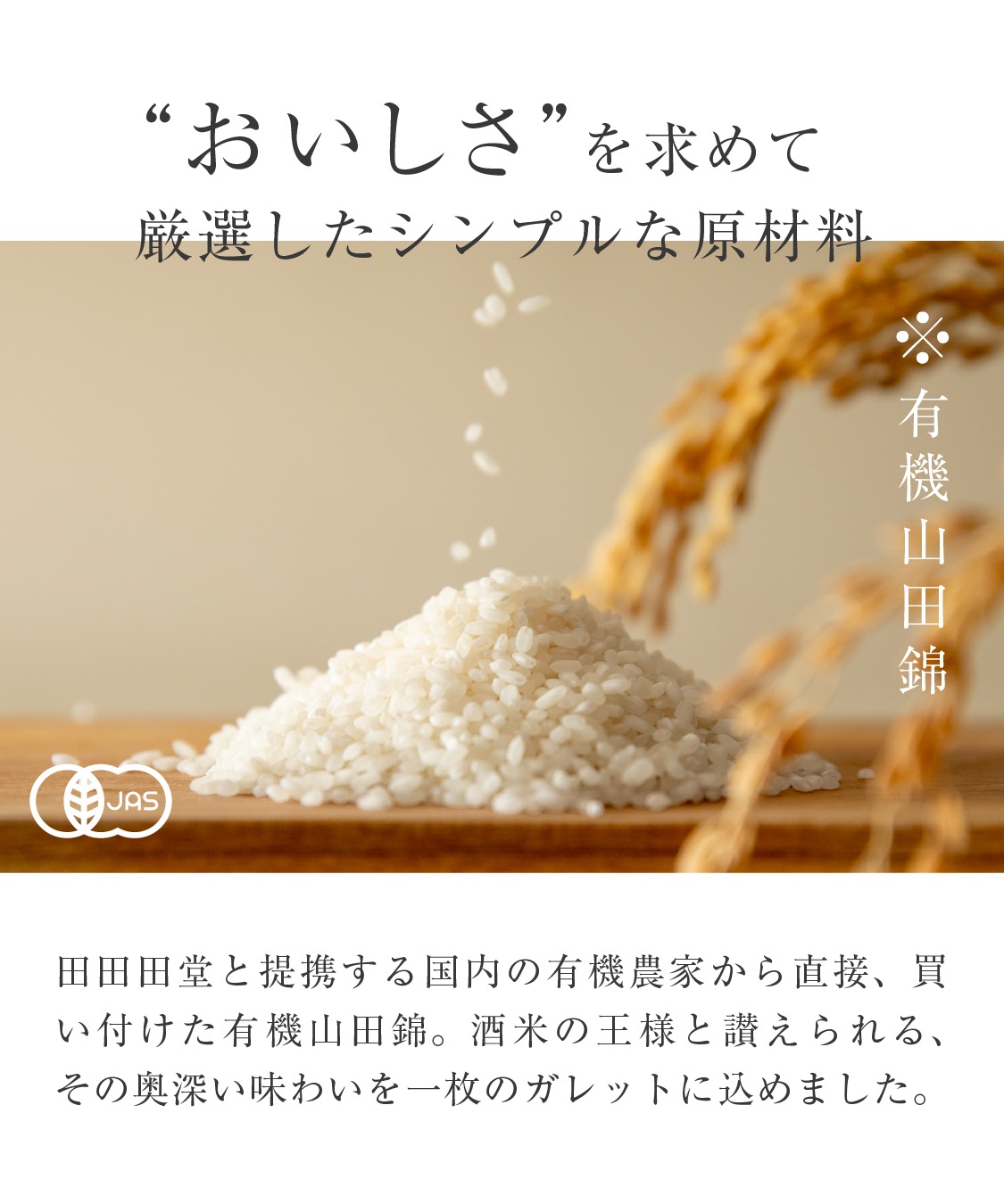 山田錦 ギフト むすび「白米・玄米」（48個入）［グルテンフリー ＆ プラントベース］山田錦セレクト