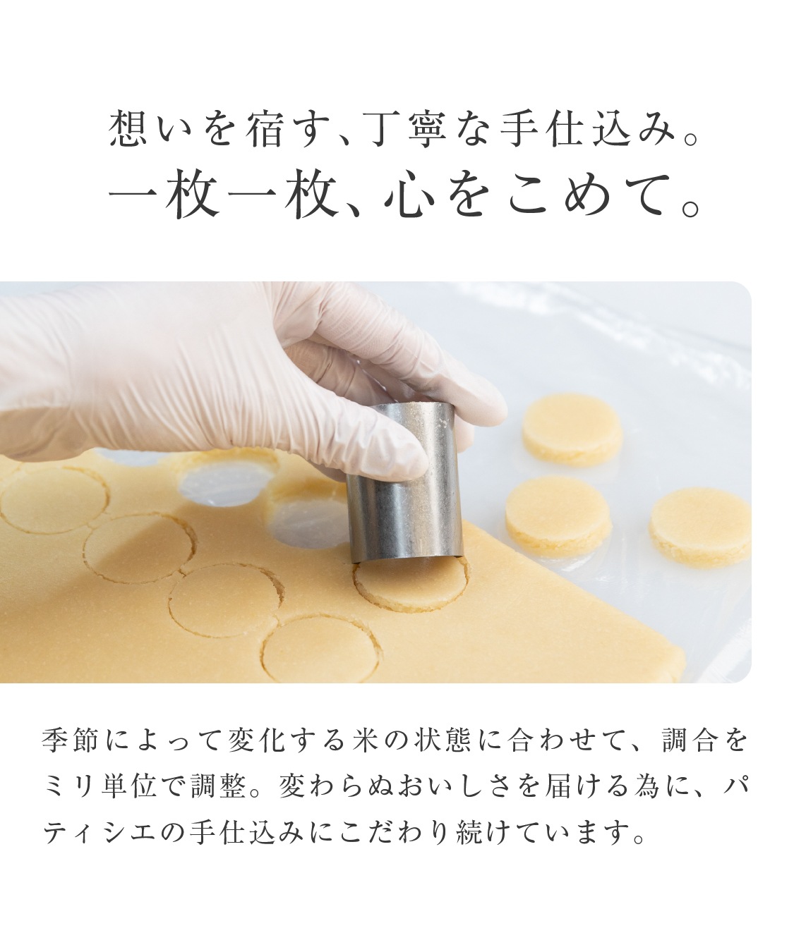 山田錦 ギフト むすび「白米・玄米」（48個入）［グルテンフリー ＆ プラントベース］山田錦セレクト
