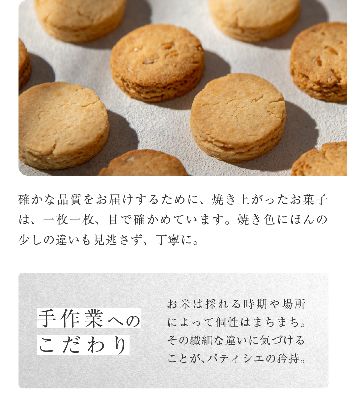 山田錦 ギフト むすび「白米・玄米」（48個入）［グルテンフリー ＆ プラントベース］山田錦セレクト