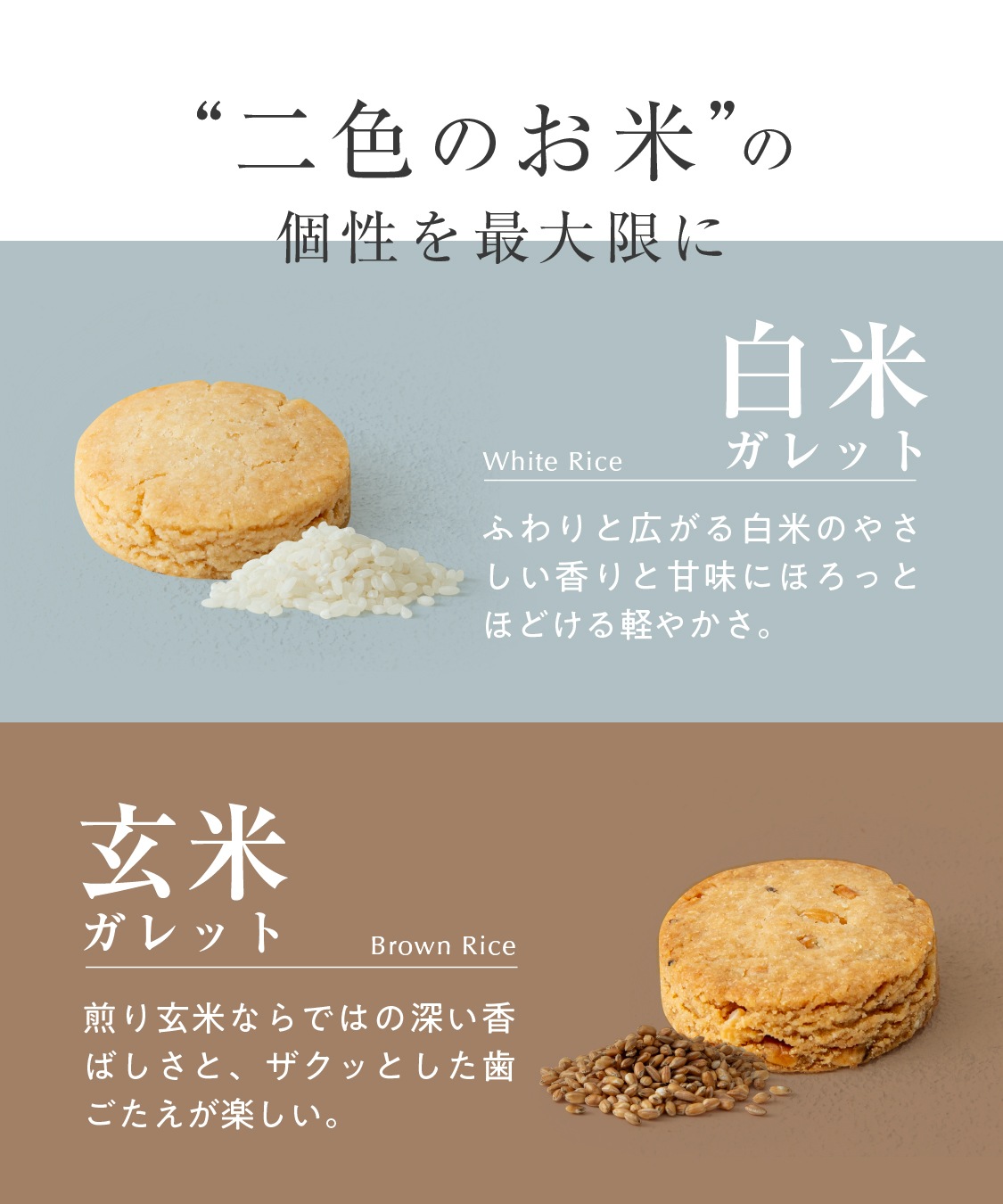 山田錦 ギフト むすび「白米・玄米」（48個入）［グルテンフリー ＆ プラントベース］山田錦セレクト