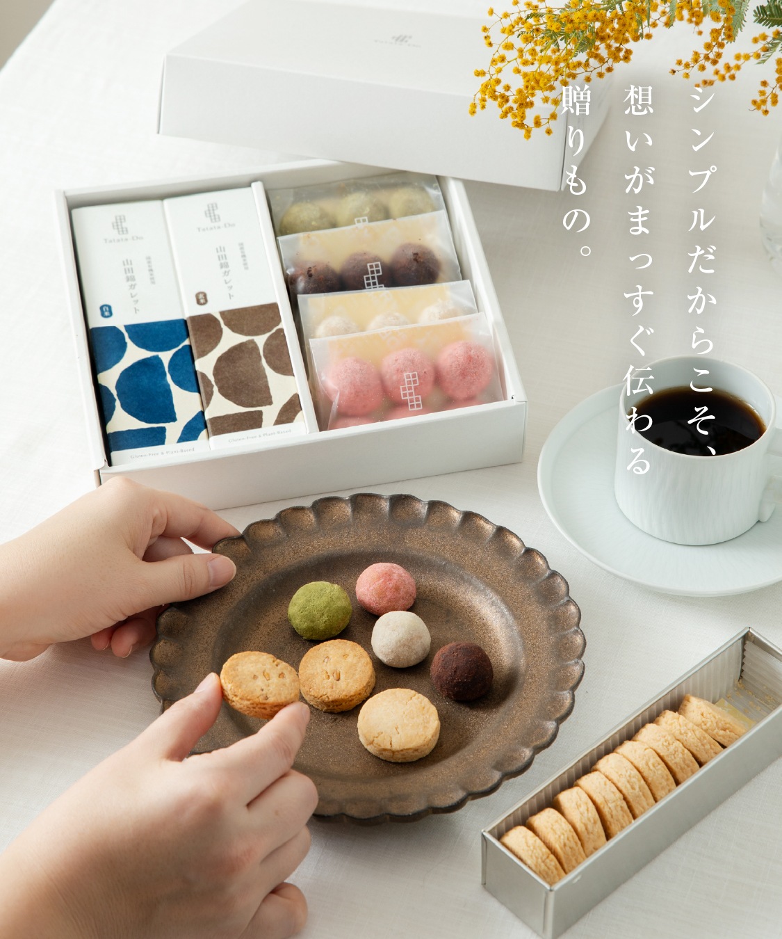 山田錦 ギフト むすび「白米・玄米」（48個入）［グルテンフリー ＆ プラントベース］山田錦セレクト