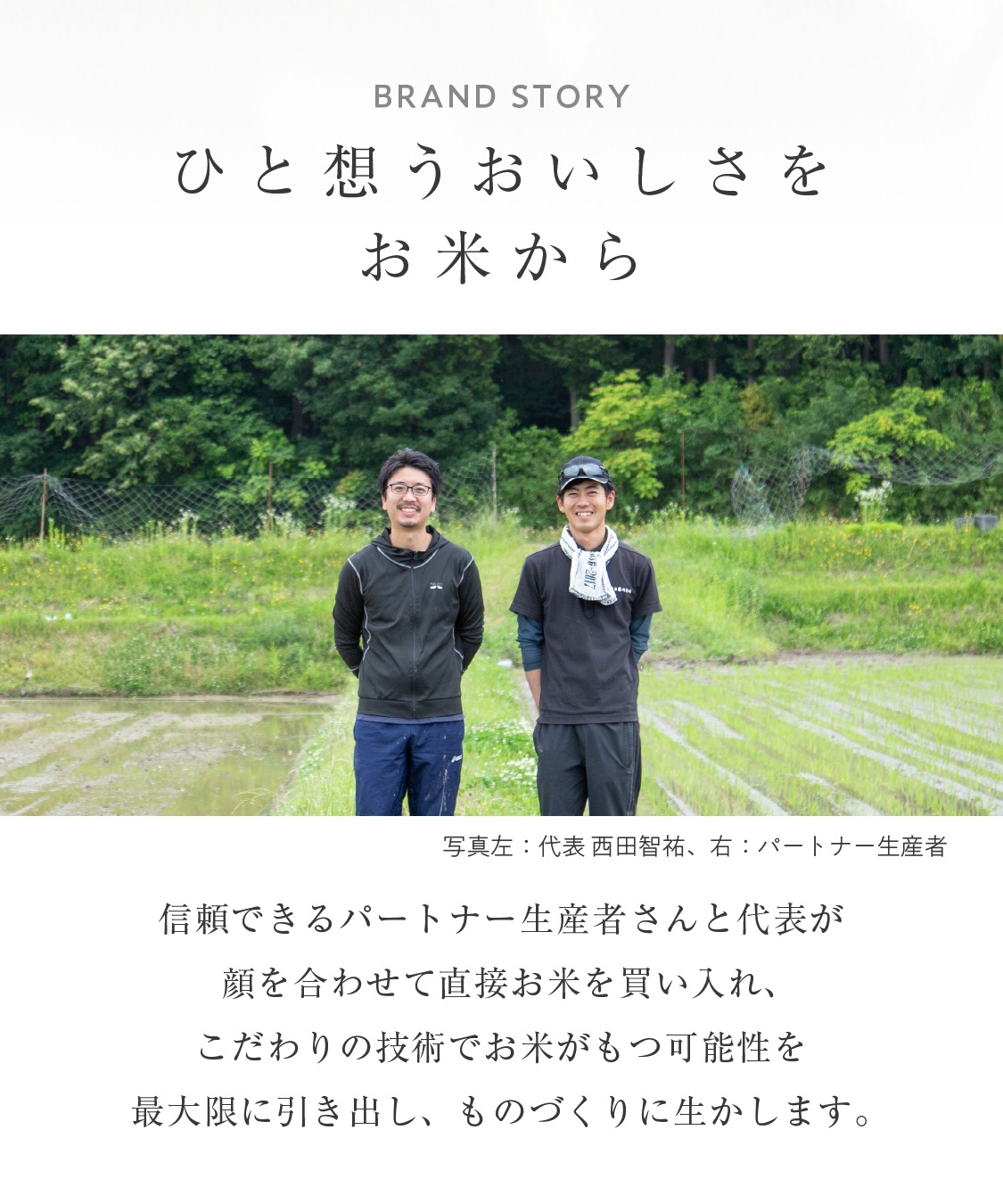 山田錦 ギフト むすび「白米・玄米」（48個入）［グルテンフリー ＆ プラントベース］山田錦セレクト