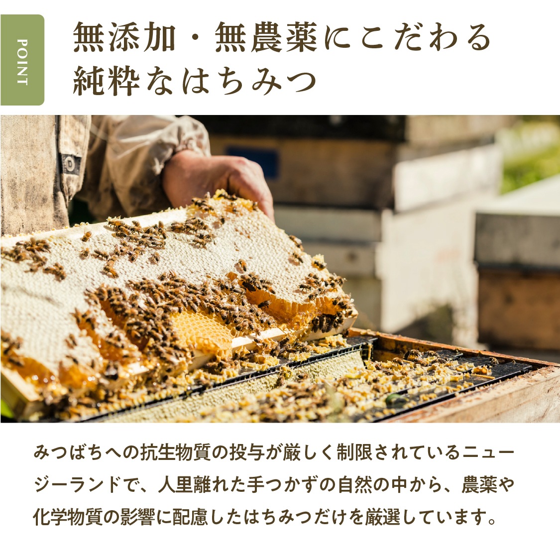 フォレストハニー（250g）｜はちみつ | 全ての商品,ジャンルから探す