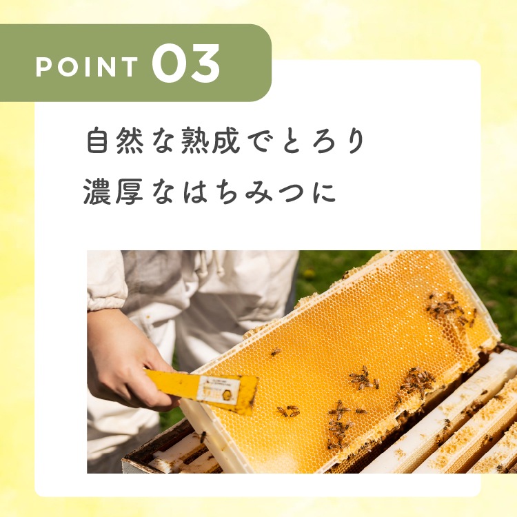 フォレストハニー【250g】【はちみつ】