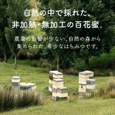 フォレストハニー（250g）｜はちみつ | 全ての商品,ジャンルから探す