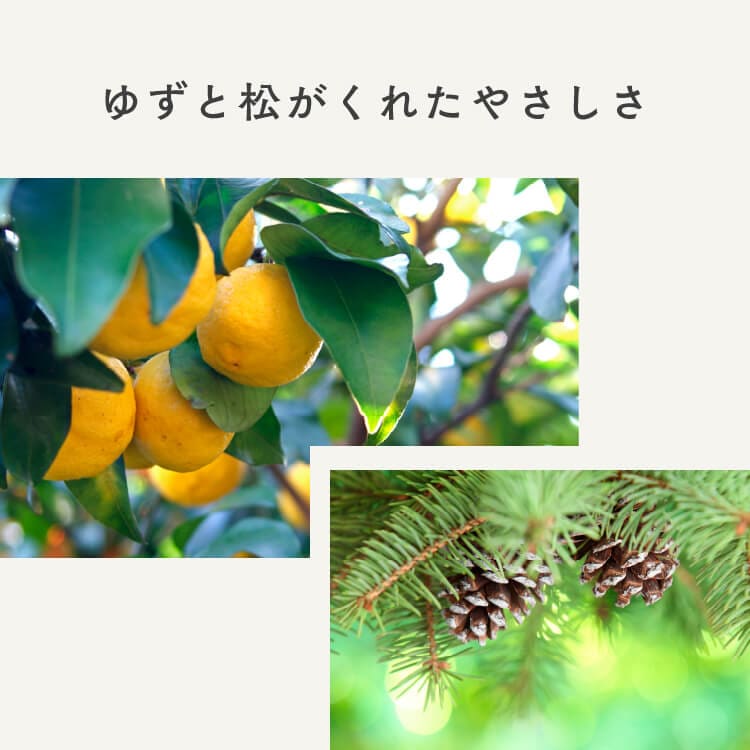 ボタニカルマルチクリーナー　天然洗浄成分でおうち丸ごとスッキリ