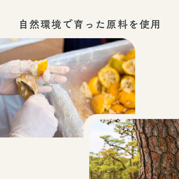 ボタニカルマルチクリーナー　天然洗浄成分でおうち丸ごとスッキリ