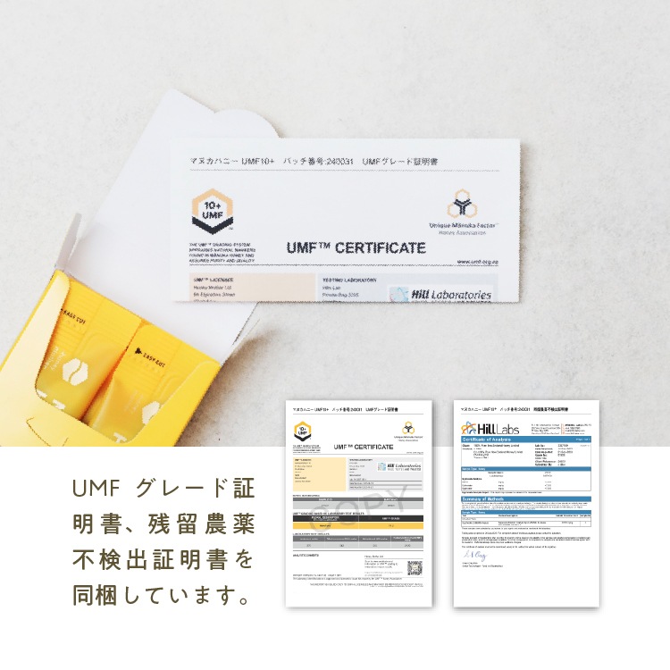 【定期商品】スティック マヌカハニー（10g×8本）　携帯用｜メール便送料無料