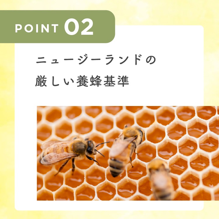 【定期商品】フォレストハニー（250g）