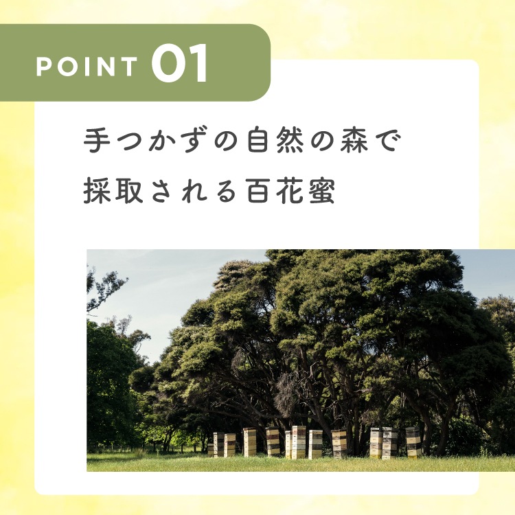 【定期商品】フォレストハニー（250g）