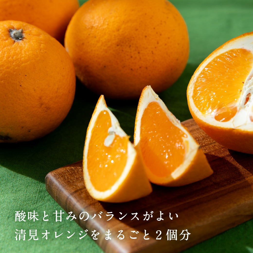 【季節限定】お米のタルト 清見オレンジ【5号／16cm】【グルテンフリー＆ヴィーガン】