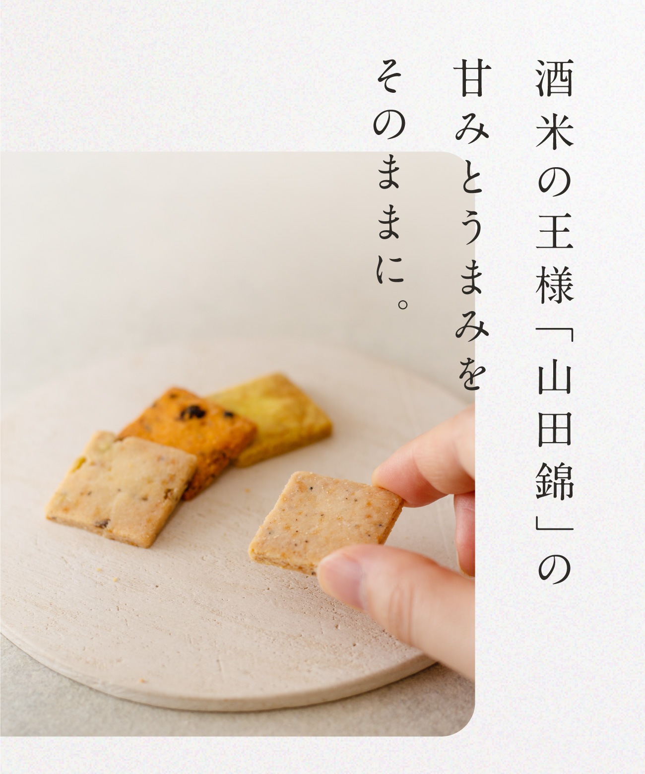 山田錦サブレ アソートボックス（4種 詰合せセット／48枚入［4種×各12枚］）［グルテンフリー ＆ プラントベース］