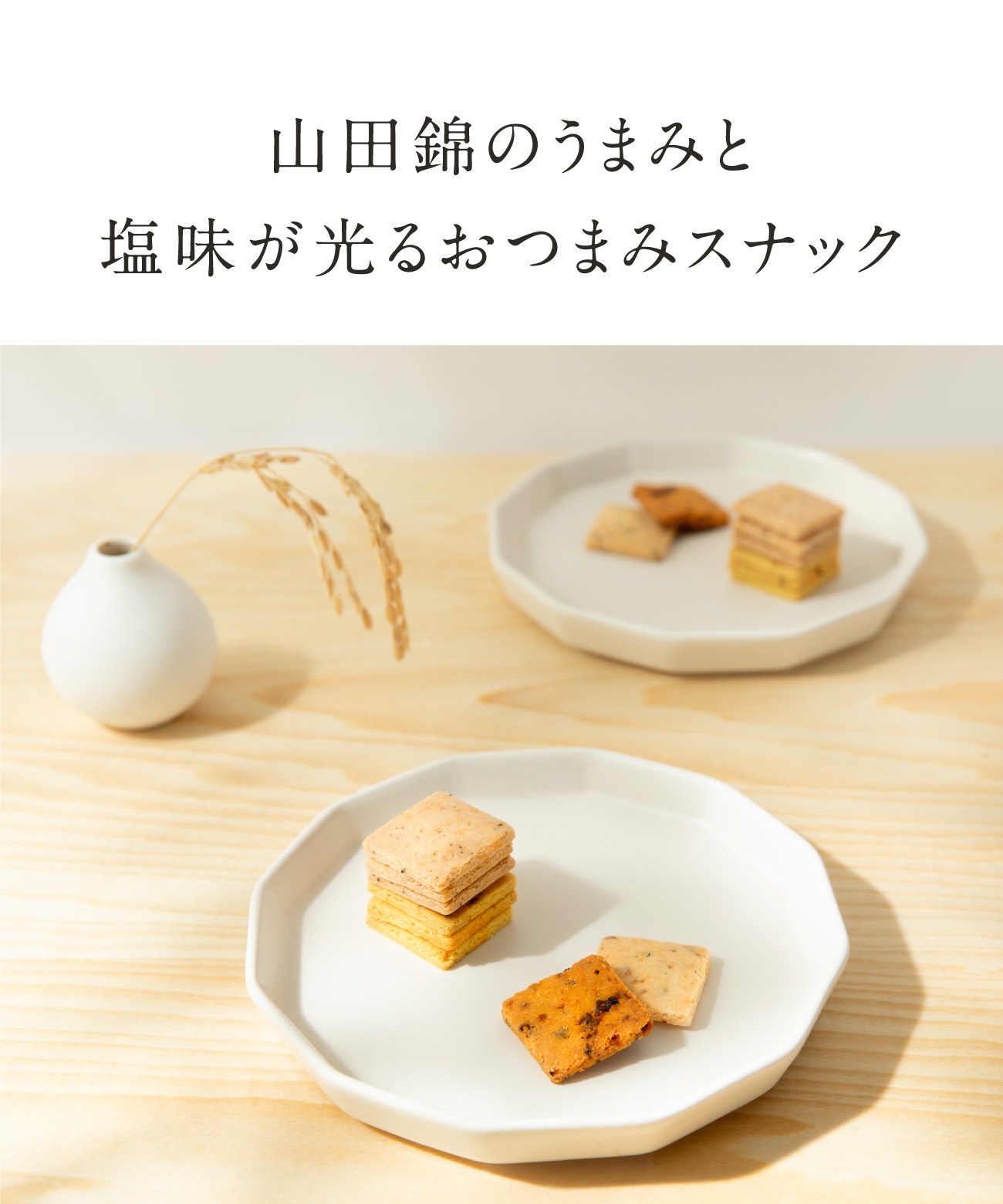 山田錦サブレ アソートボックス（4種 詰合せセット／48枚入［4種×各12枚］）［グルテンフリー ＆ プラントベース］