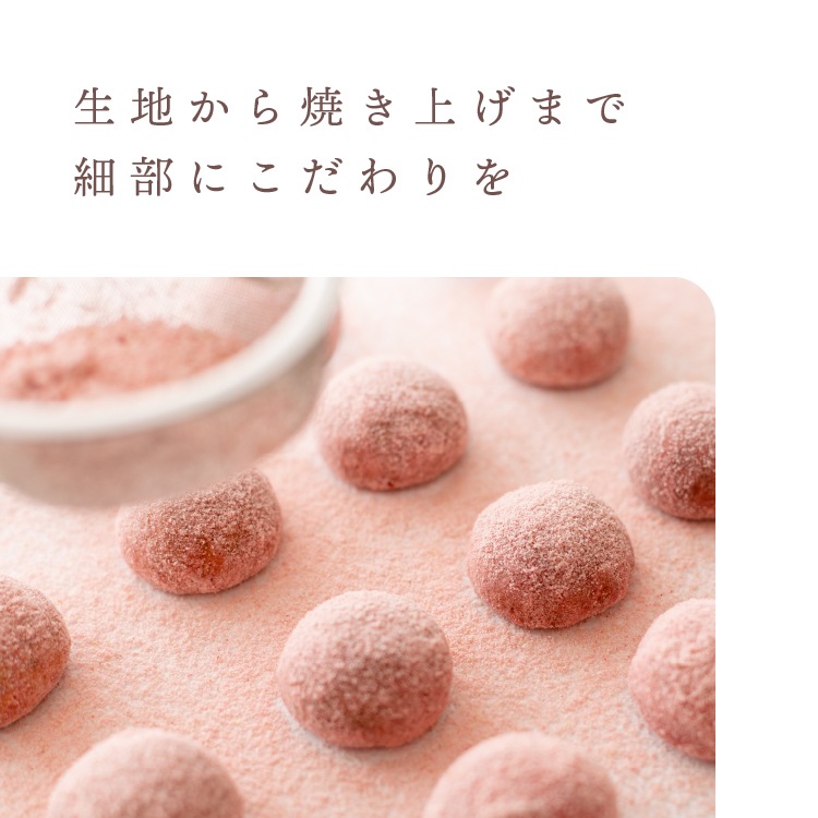 山田錦ボール アソートボックス【4種 詰合せセット（4種×各6個）】【グルテンフリー & ヴィーガン】