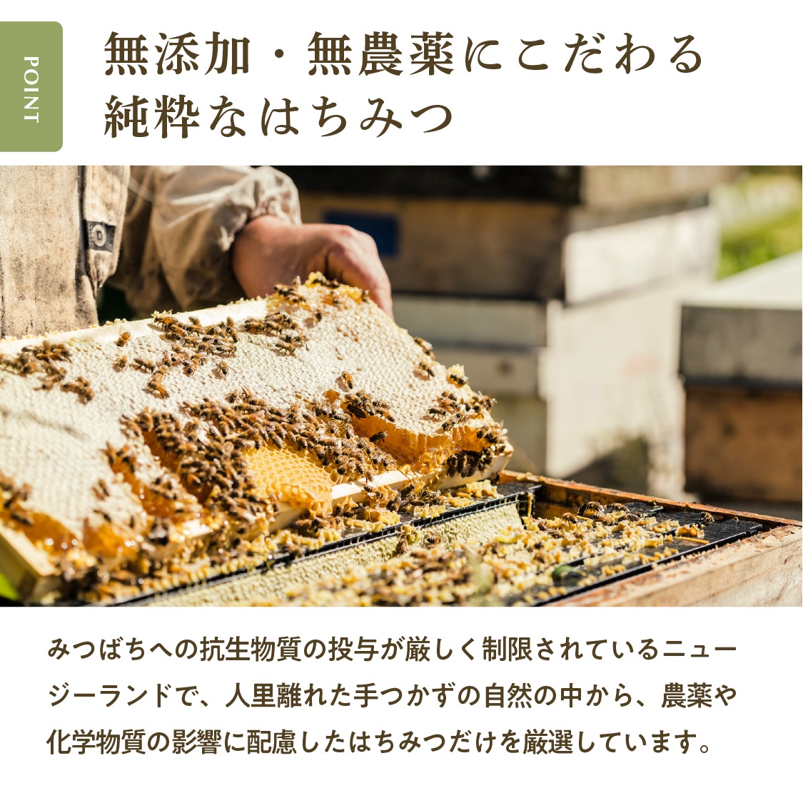 はじめてのニュージーランドハニー（お試しサイズ70g）| 農薬残留検査