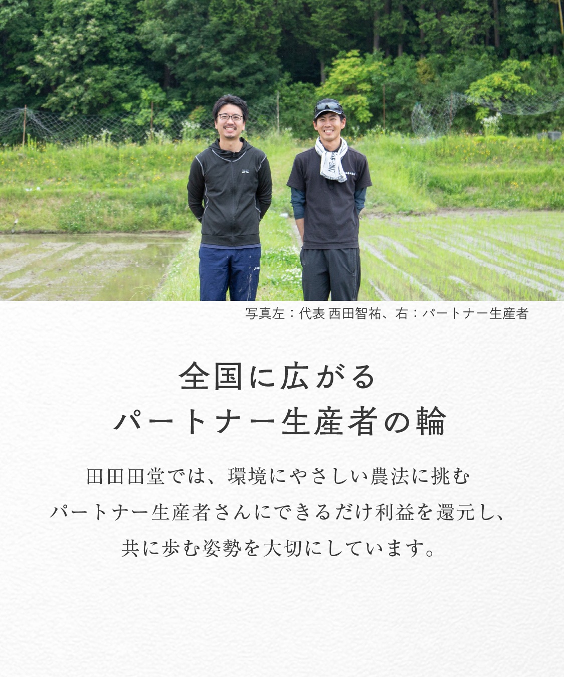 10月12日より順次配送 有機米粉と安納芋の田田田堂ロール　4～5人用