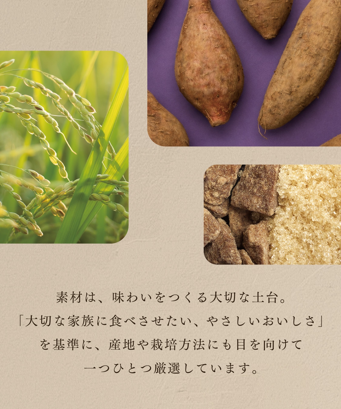 10月12日より順次配送 有機米粉と安納芋の田田田堂ロール　4～5人用