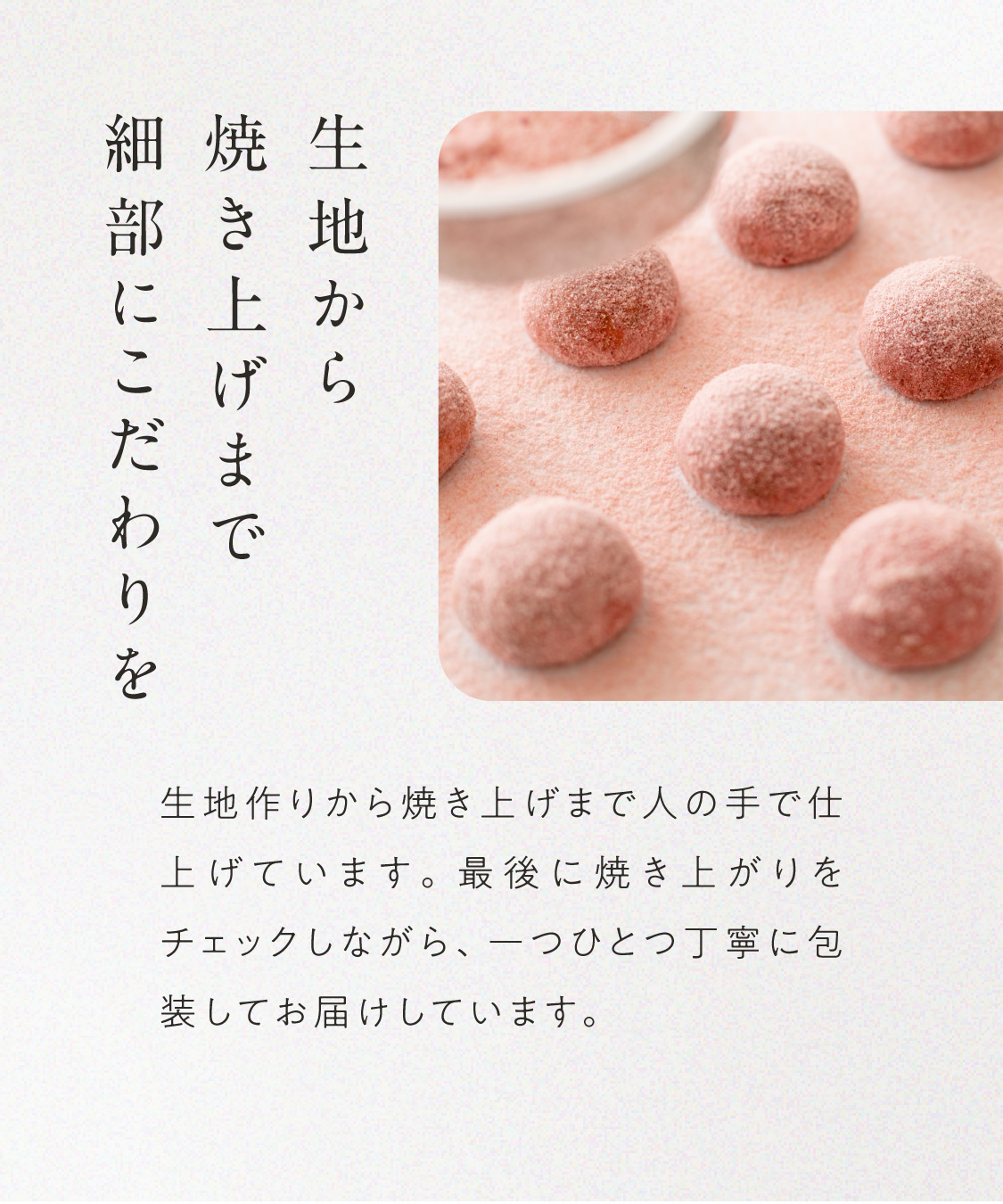 山田錦ボール（各6個）［グルテンフリー ＆ プラントベース］山田錦