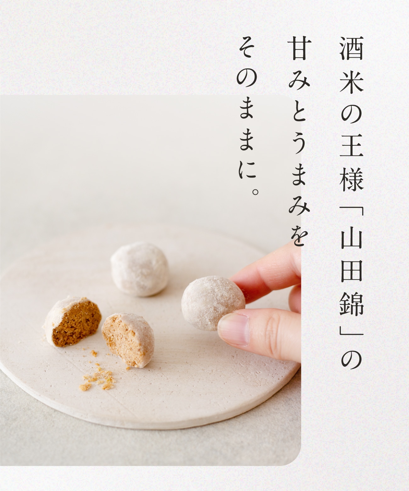 山田錦ボール（各6個）［グルテンフリー ＆ プラントベース］ | 全ての