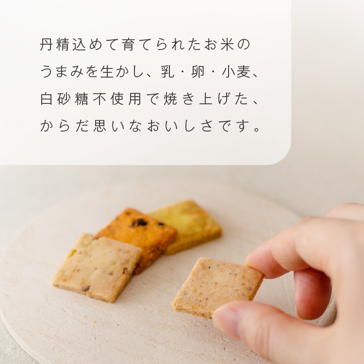 山田錦サブレ 【4種 詰合せセット／48枚入（4種×各12枚）】【グルテンフリー & ヴィーガン】【メール便送料無料 】