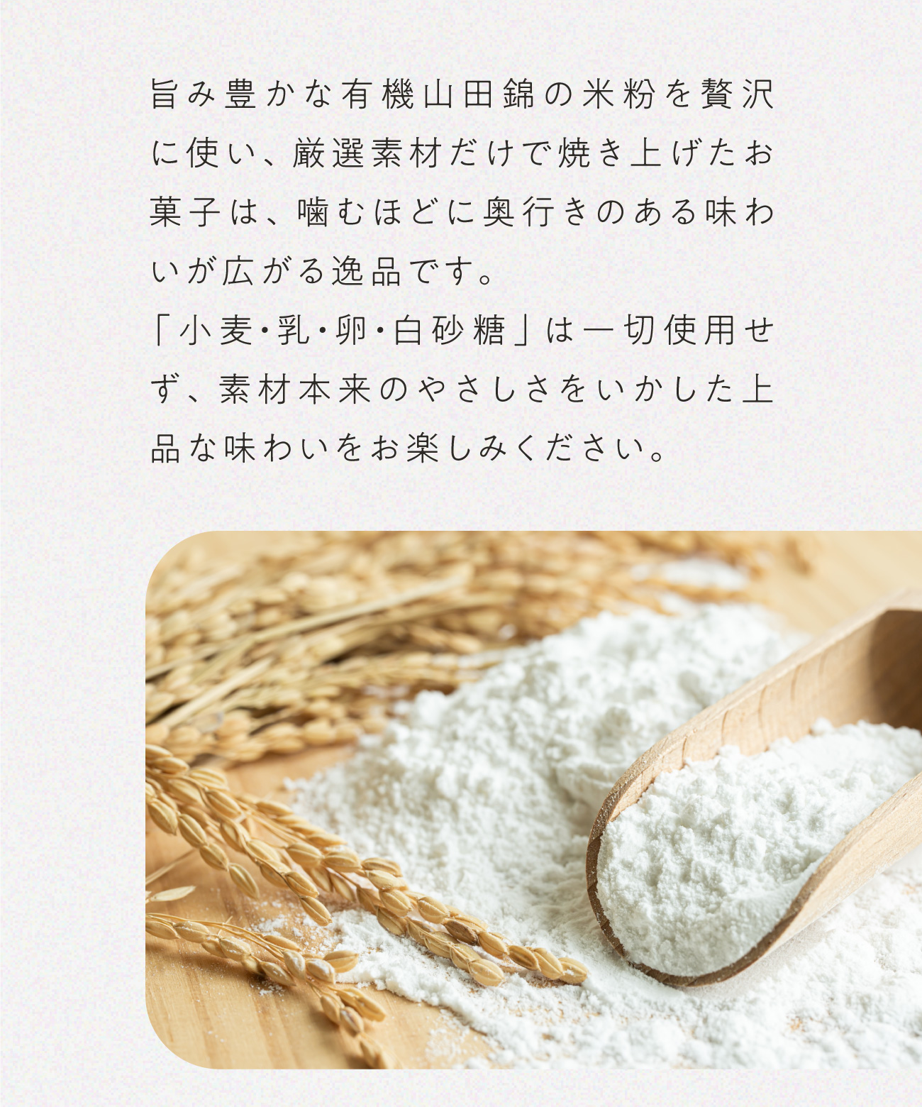 専用のお品物となります 山田錦サブレ メール便アソート（4種 詰合せセット／48枚入［4種×各12