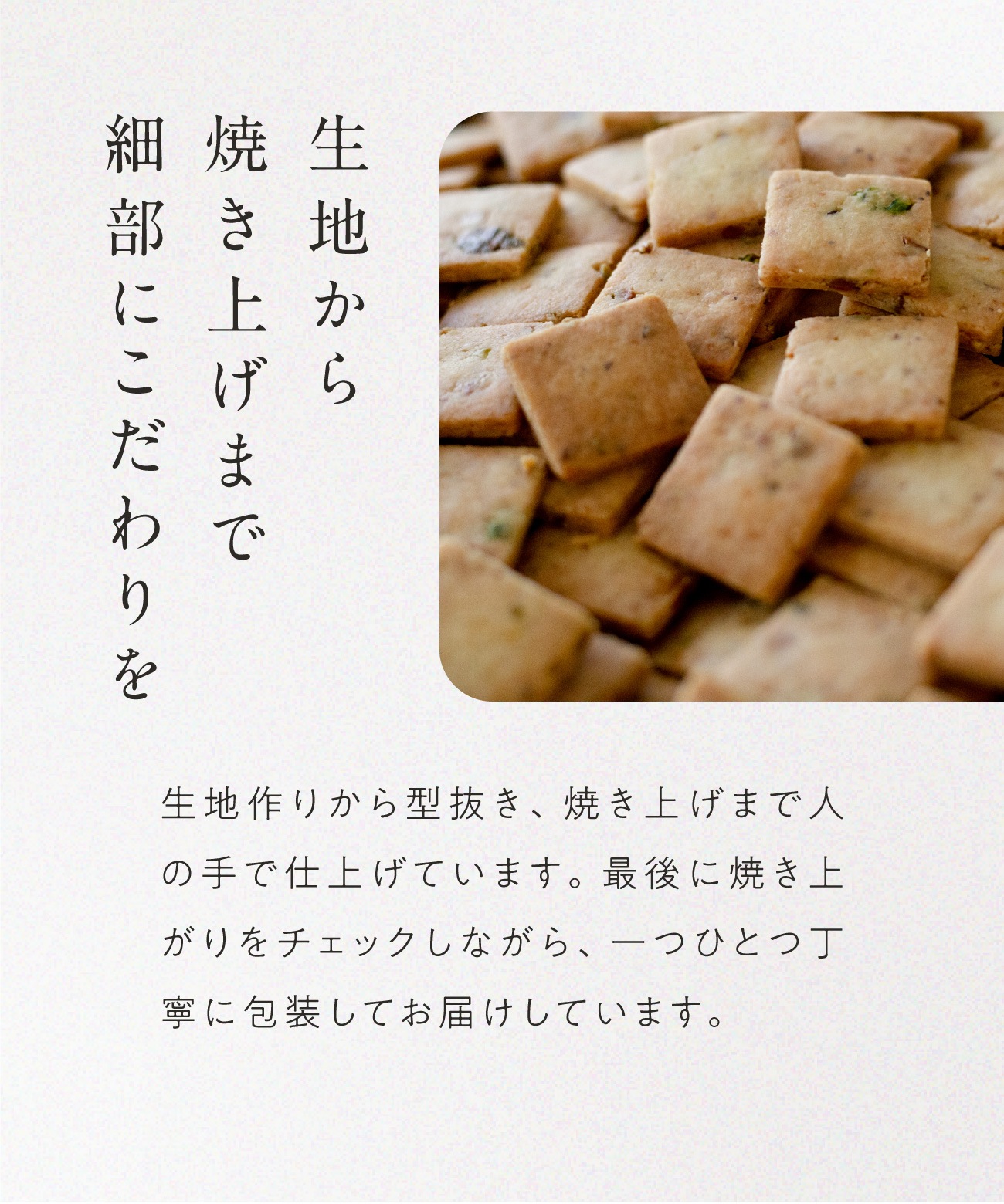 山田錦サブレ メール便アソート（4種 詰合せセット／48枚入［4種×各12