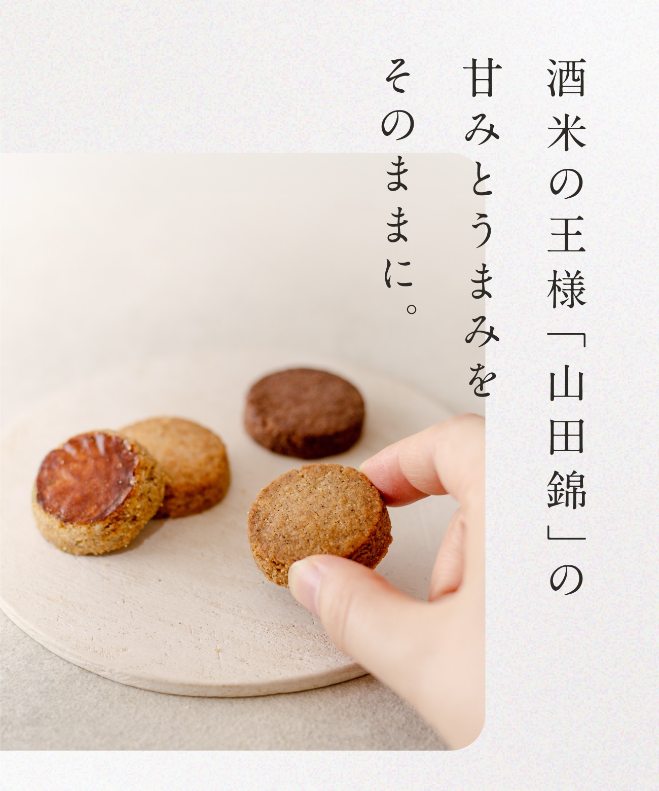 山田錦ガレットアソート缶（12枚入り［4種×3枚］）ギフト［グルテン