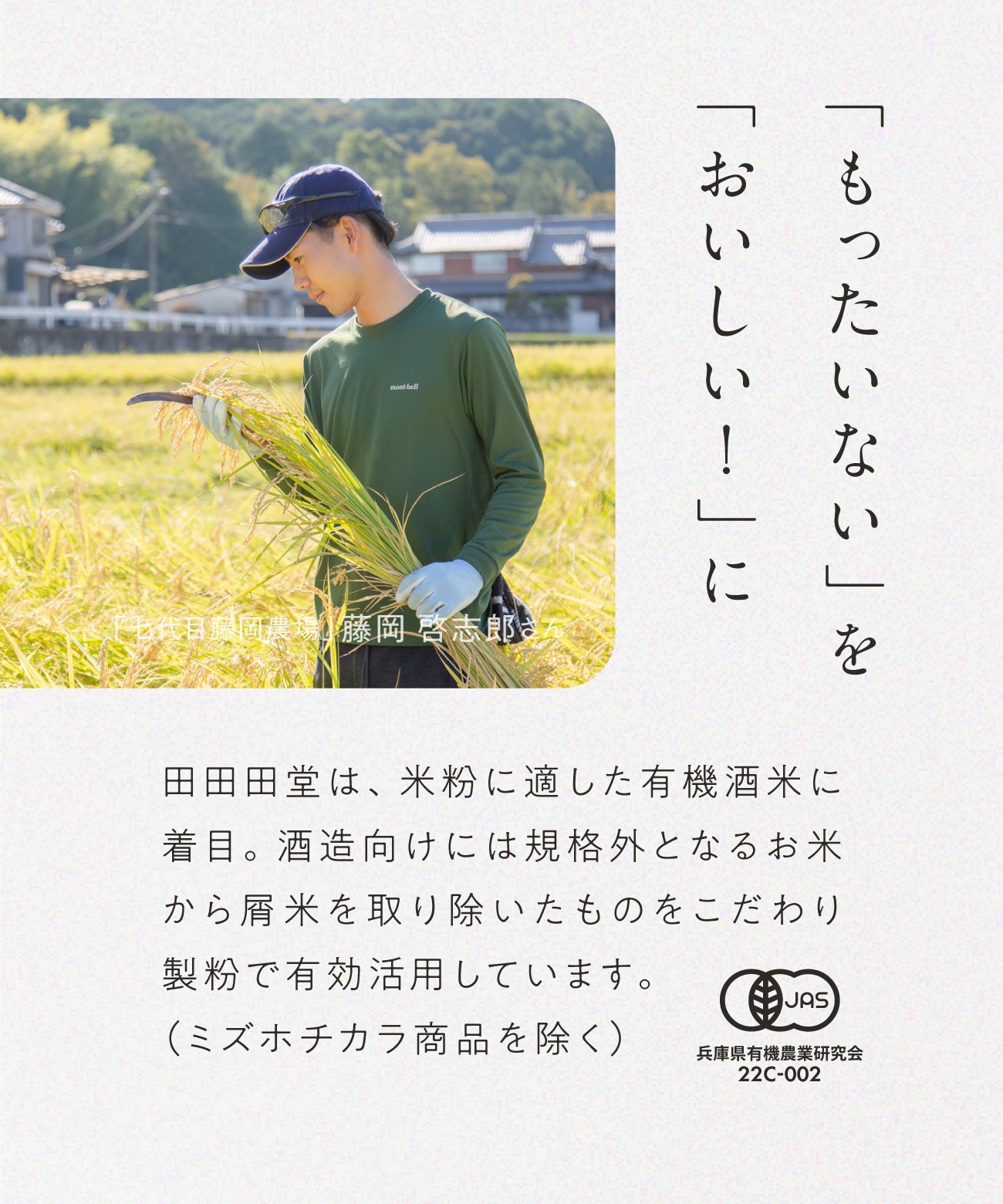 山田錦ガレット メール便アソート（4種 詰合せセット［4種×各4枚］）［グルテンフリー ＆ プラントベース］｜メール便送料無料