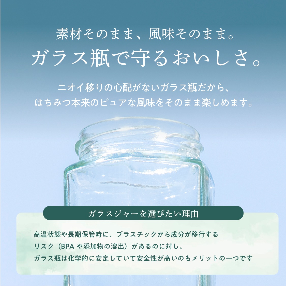 【定期商品】フォレストハニー（500g）