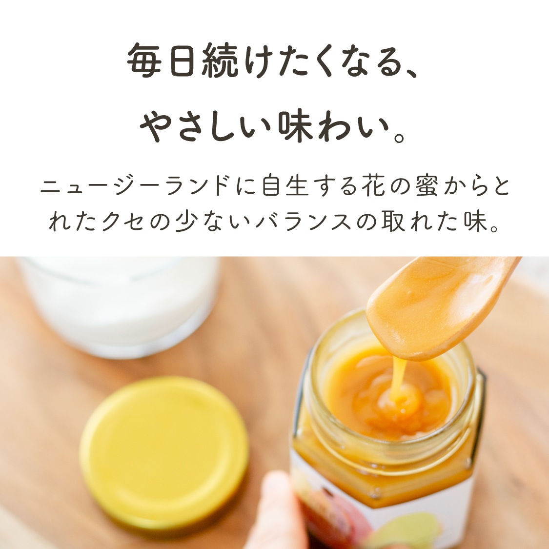 【定期商品】フォレストハニー（500g）