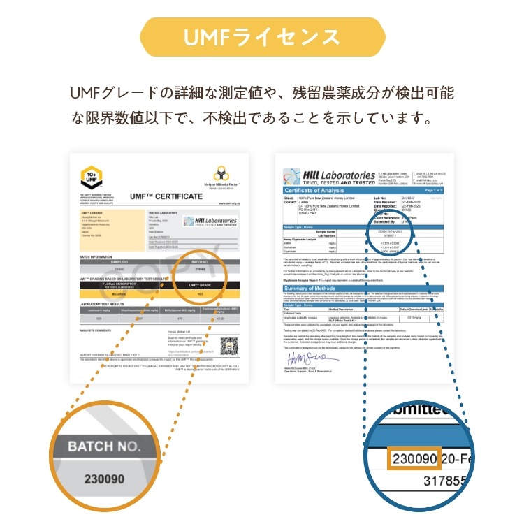 【定期便専用】マヌカハニー UMF25+【250g MGO1197+】
