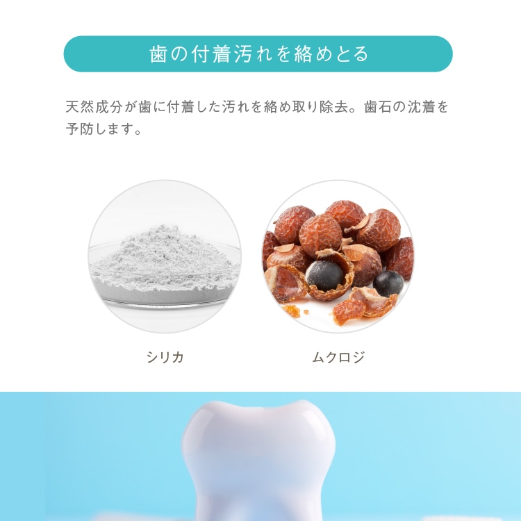 マヌカハニージェル歯みがき ｜メール便送料無料