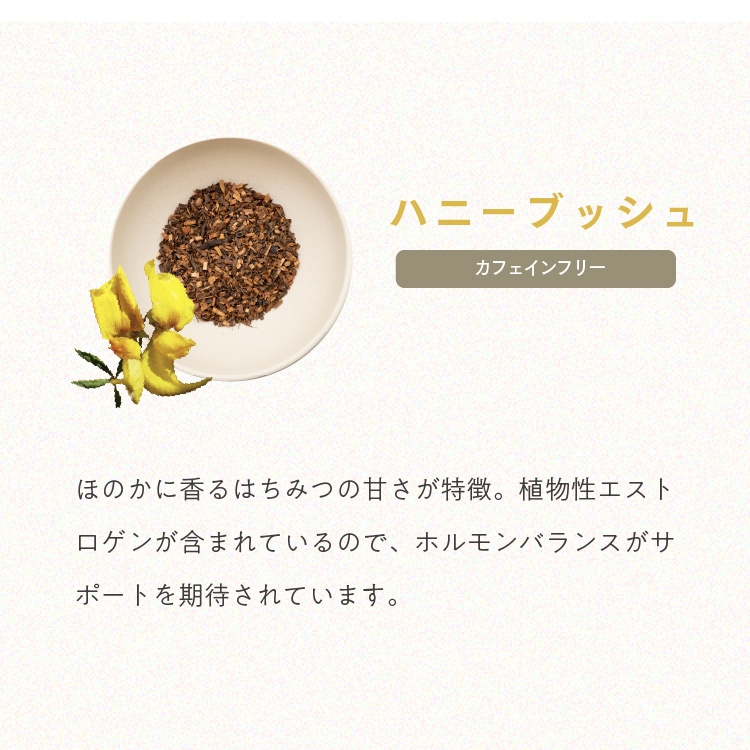 【定期商品】ニュージーランドティー エコパック(10包入) 紅茶 & ハーブティー|メール便送料無料