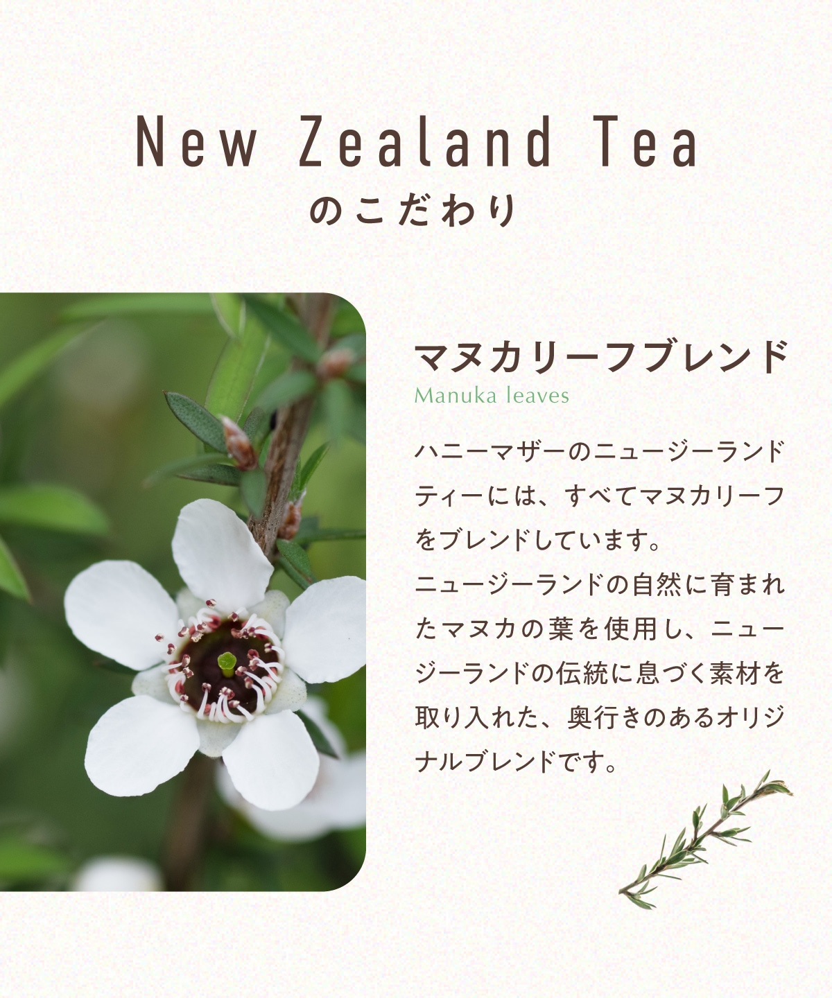 【定期商品】ニュージーランドティー エコパック（10包入） 紅茶 ＆ ハーブティー｜メール便送料無料
